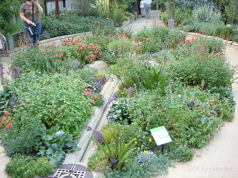 307 Longwood Gardens [2008 August 23].JPG - Longwood Gardens in Pennsylvania